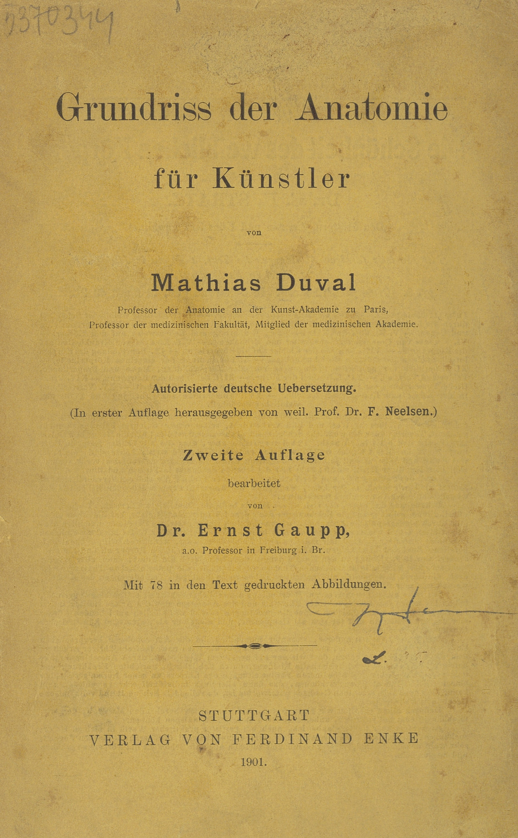 Grundriss der Anatomie für Künstler